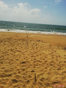 Beach of Barbate