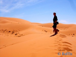 belle in the Desert - Merzouga - Erg Chebbi – Marokko
