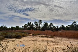 Oase Tighmert – Marokko