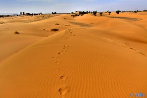 ...Deine Spuren im Sand *träller* - Merzouga - Erg Chebbi – Marokko