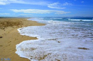 ...die ich gestern noch fand... *träller* - Playa de los Lances Norte - Tarifa – Spain