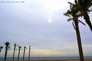 Grau am Playa las Salinas – Spain (11:10)