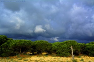 Dicke fette Wolken - Playa de los Lances Norte - Tarifa – Spain
