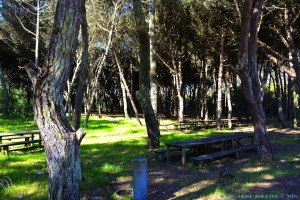 Picknick-Area mit Brunnen nahe dem Stellplatz in Costa de Lavos – Portugal