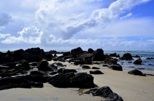 Black Rocks with a Seagull at Praia de Afife – Portugal