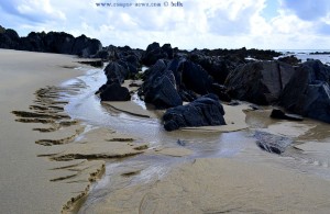 Schwarze Felsen und austretendes Grundwasser am Praia de Afife - Portugal