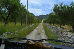Baffo will ans Meer - irgendwo unterwegs auf schmalen Strassen in Italien