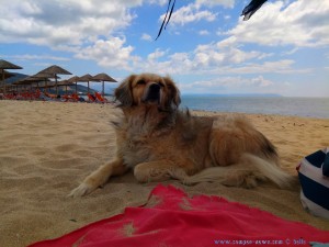 Nicol leistet mir Gesellschaft - Portofino Beach – Greece