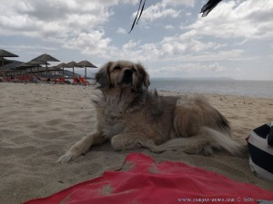 Nicol leistet mir Gesellschaft - Portofino Beach – Greece (Selected Colors)