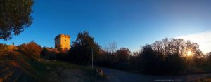 My View today - Torre de la Carrova - Amposta – Spain